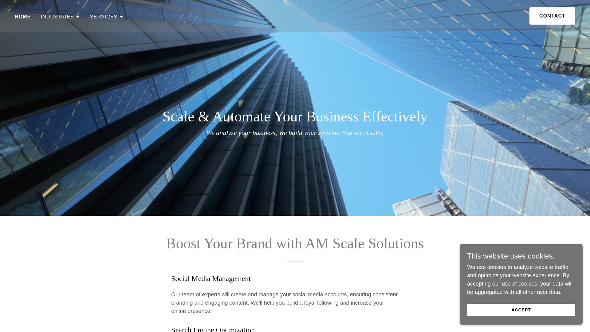 website screenshot of https://amscalesolutions.com/