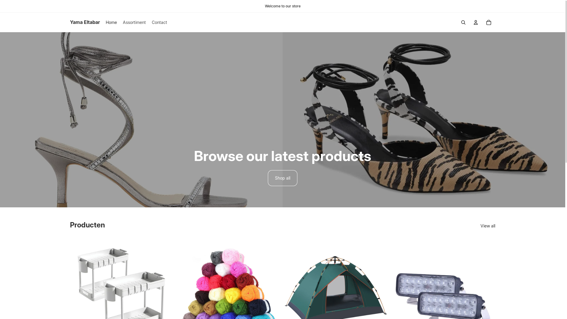 website screenshot of https://aryanam.store/