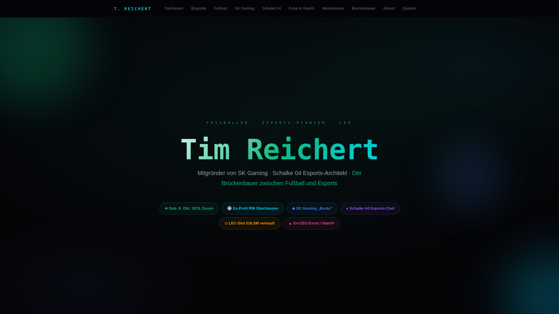 website screenshot of https://tim-reichert-report.pages.dev/