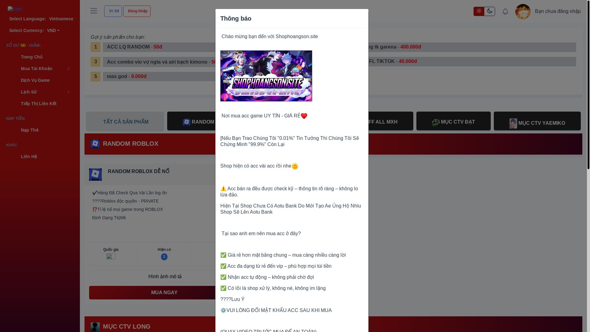 website screenshot of https://shophoangson.site/