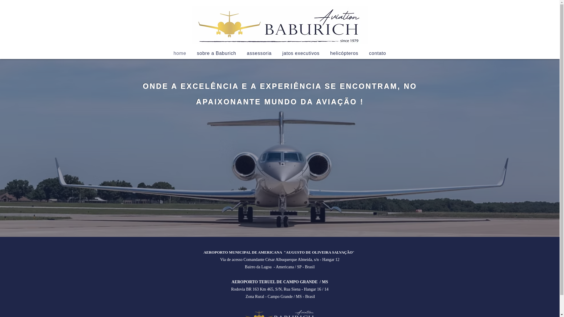 website screenshot of https://baburichaviation.com/