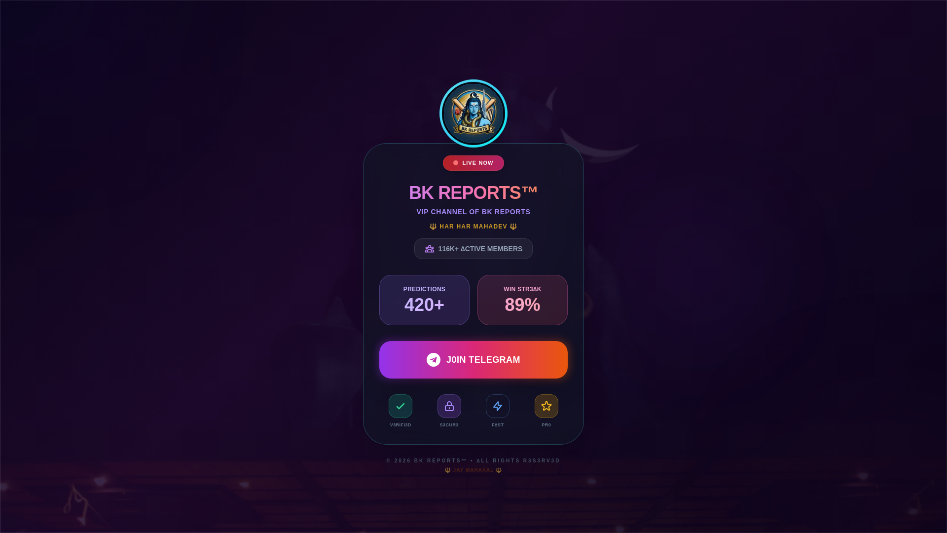 website screenshot of https://bk-report-org.pages.dev/