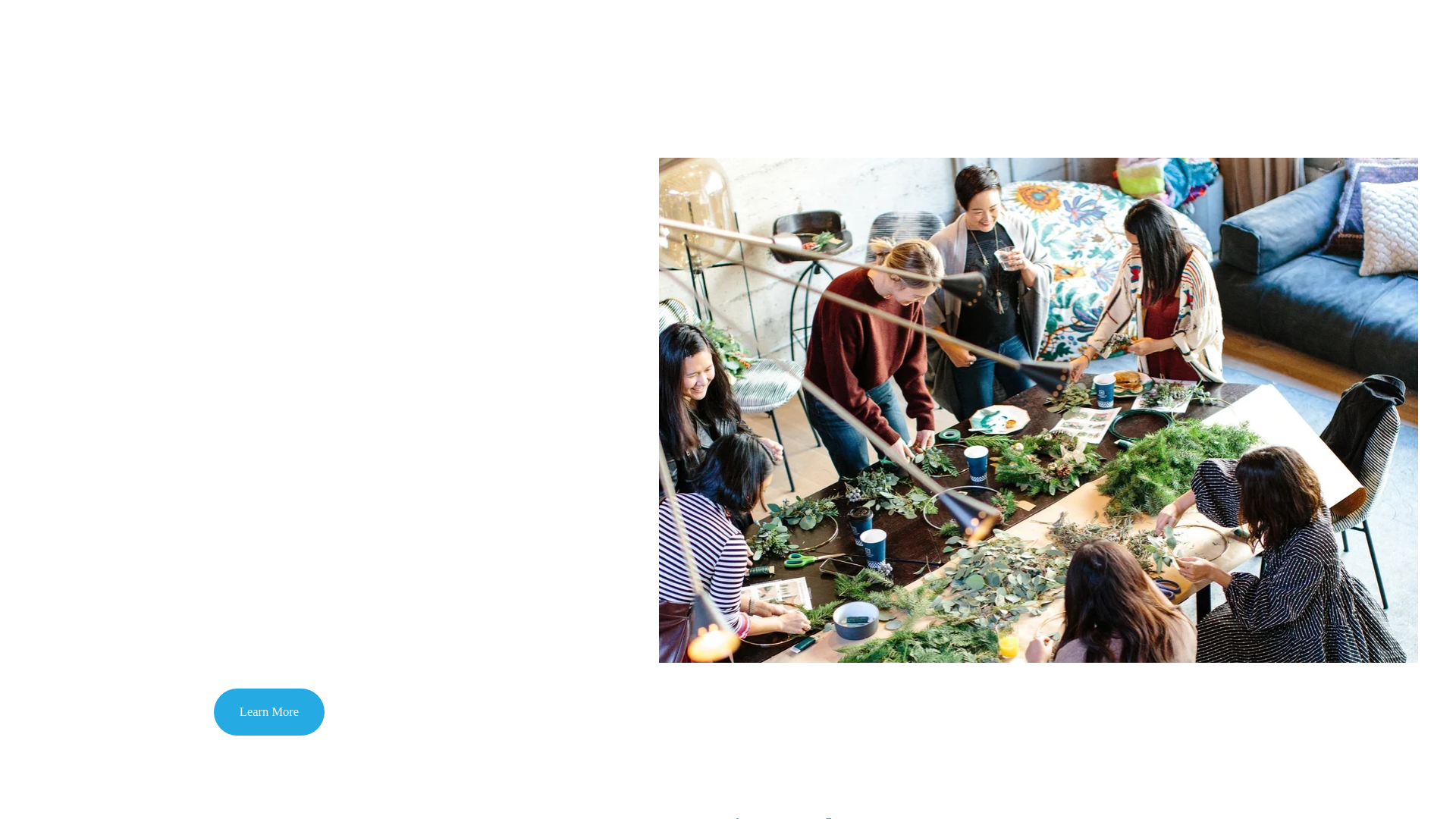 website screenshot of https://fastforwardigp.com/