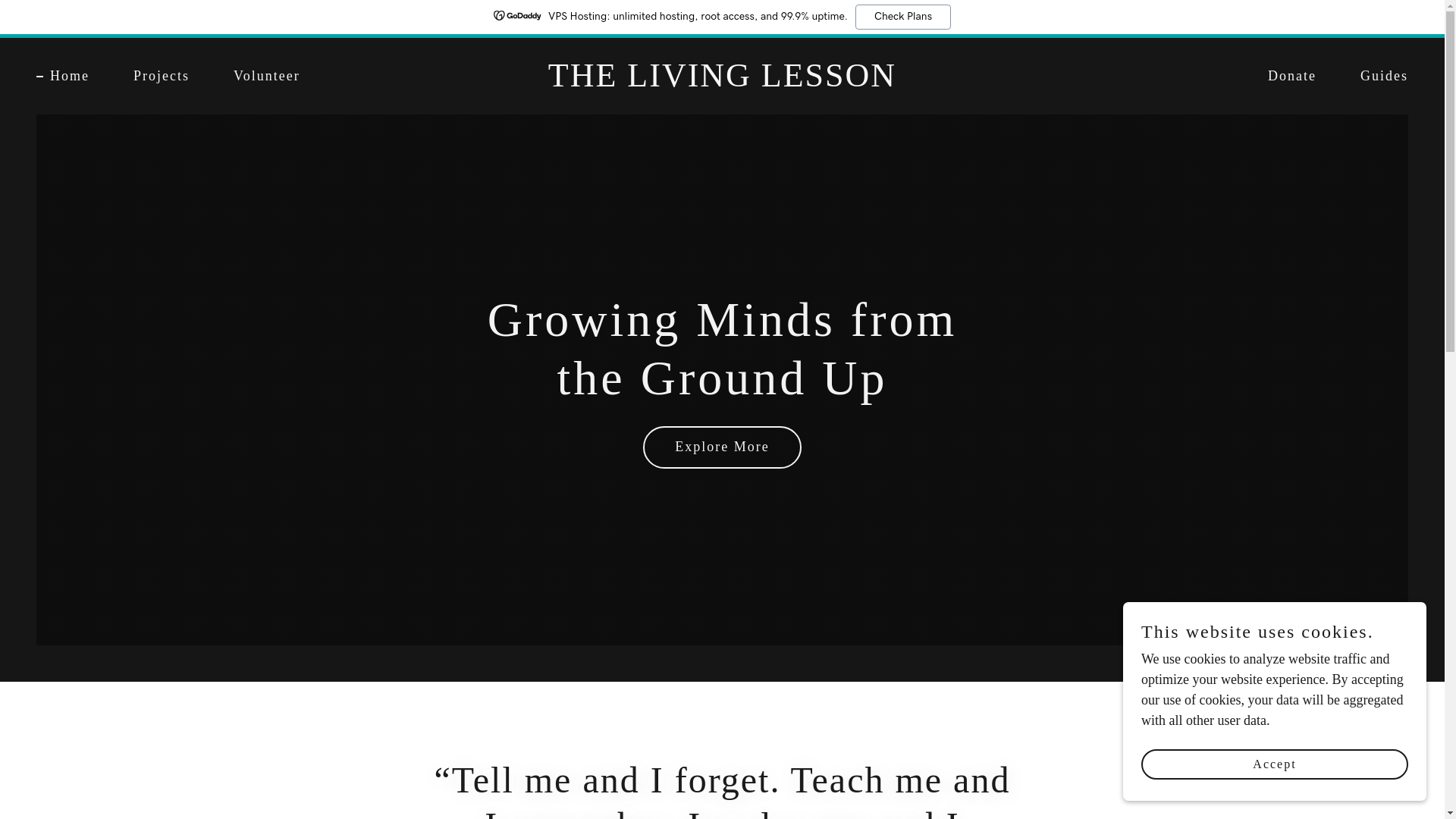website screenshot of https://thelivinglesson.org/