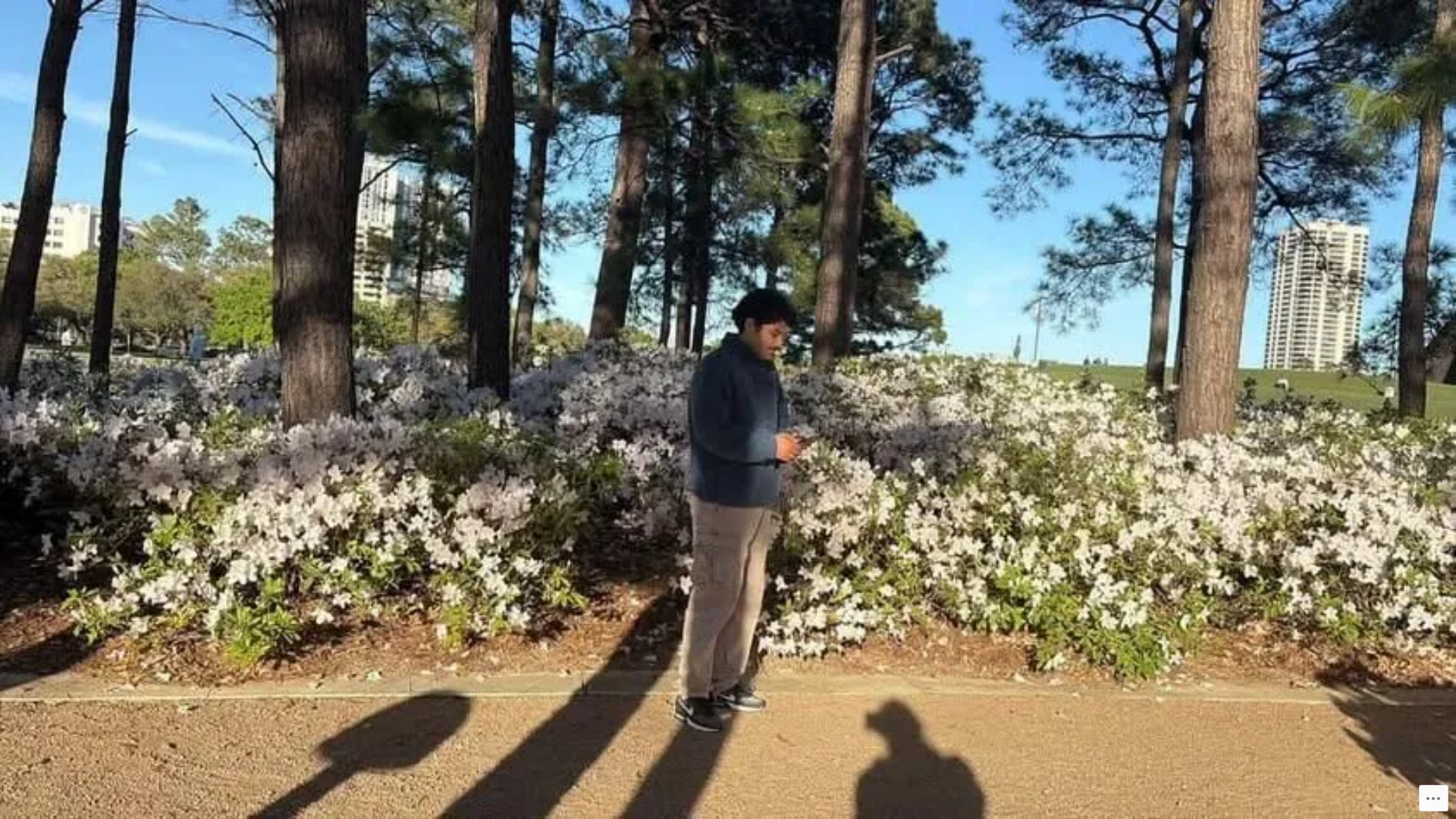 website screenshot of https://mydepop.blog/