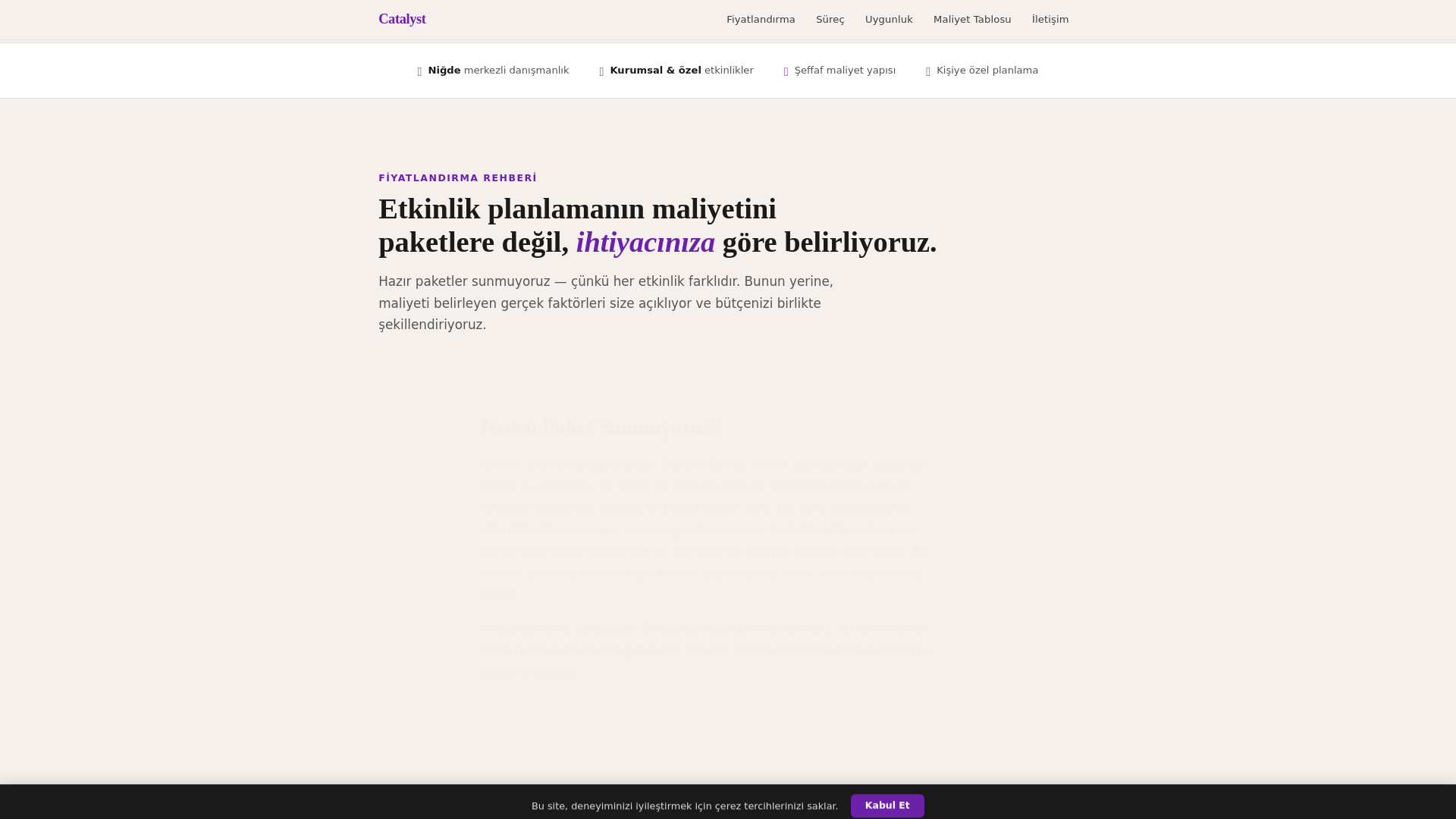 website screenshot of https://catalysteventconsultants.cyou/