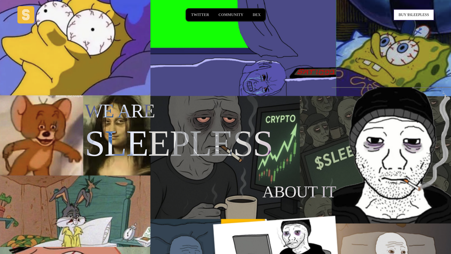 website screenshot of https://sleeplesscoin.site