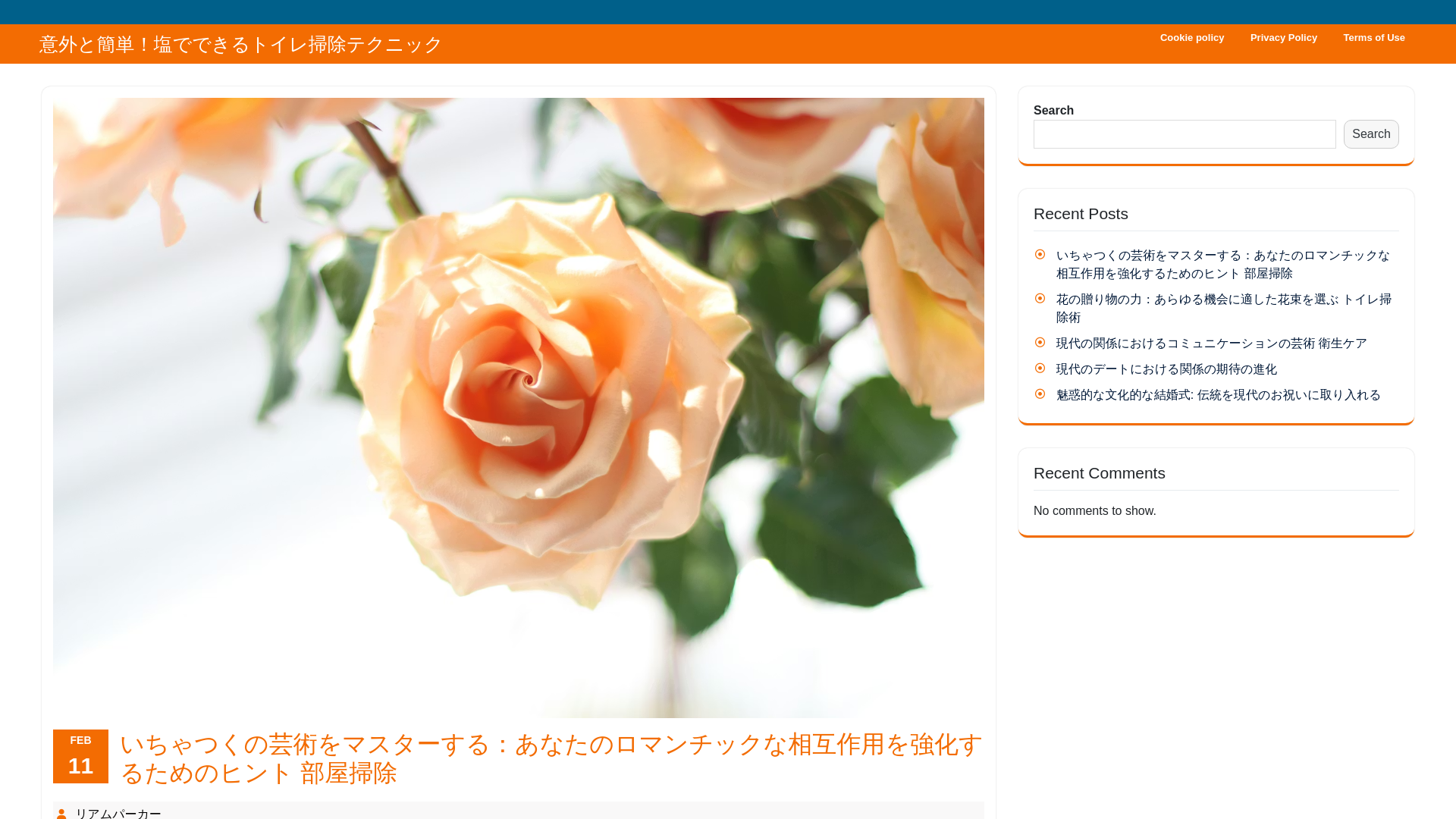 website screenshot of https://paysaltuor.fun/